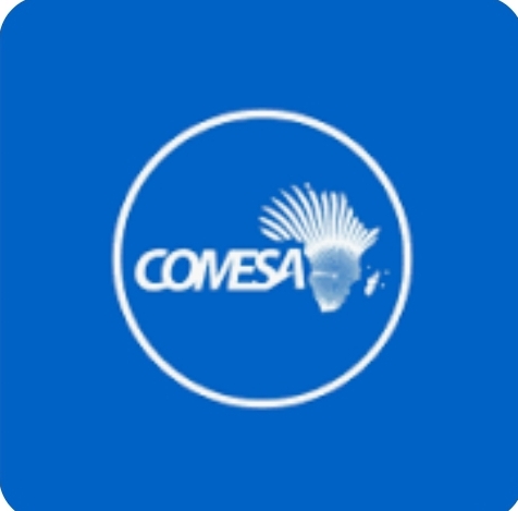 Comesa flag