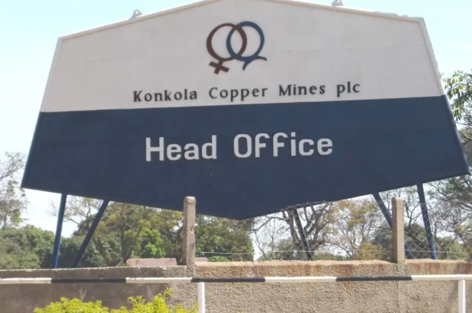 Screenshot 20230712 200151 Google1