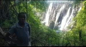 Screenshot 20230711 202123 Gallery1