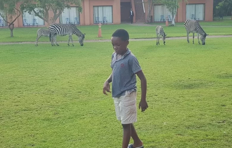 Screenshot 20230711 203251 Gallery1