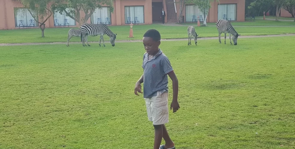 Screenshot 20230711 203251 Gallery1