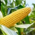 Screenshot 20231103 170719 Google1 1