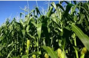 Screenshot 20231103 170741 Google1 1