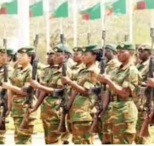 Screenshot 20231109 095223 Google1