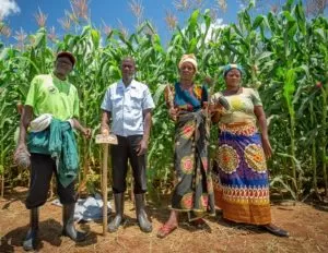 Screenshot 20231115 113834 Google1