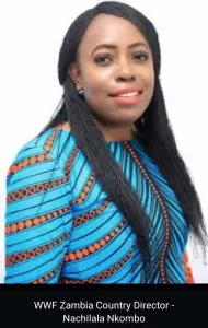 Screenshot 20231115 123423 WhatsApp1