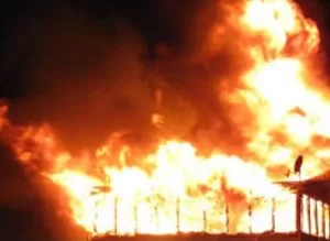 Screenshot 20231117 200455 Google1