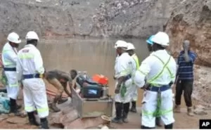 Screenshot 20231205 100218 Google1