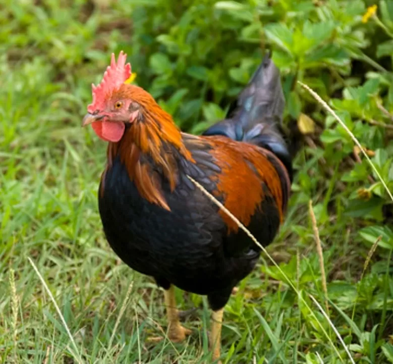 Screenshot 20231206 101901 Google1