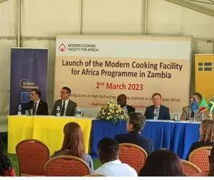 Screenshot 20231206 120555 Google1