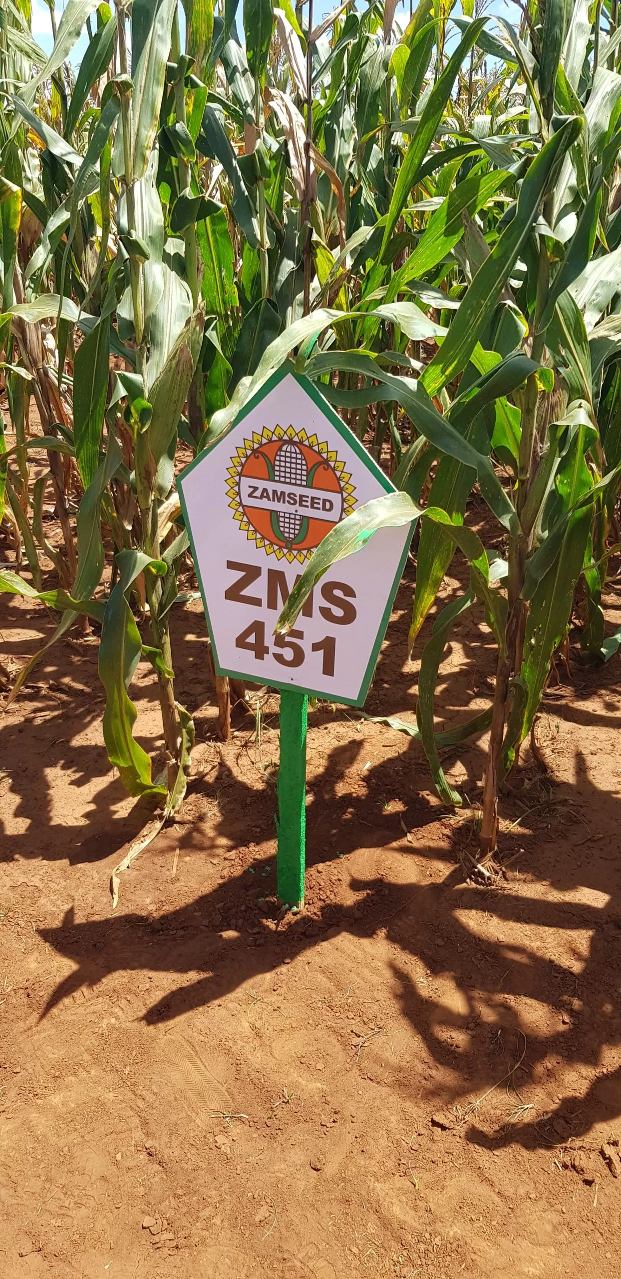 20240403 1201561 Scaled