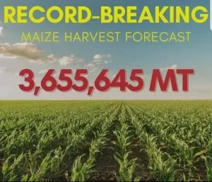 Bumper Harvest 2025