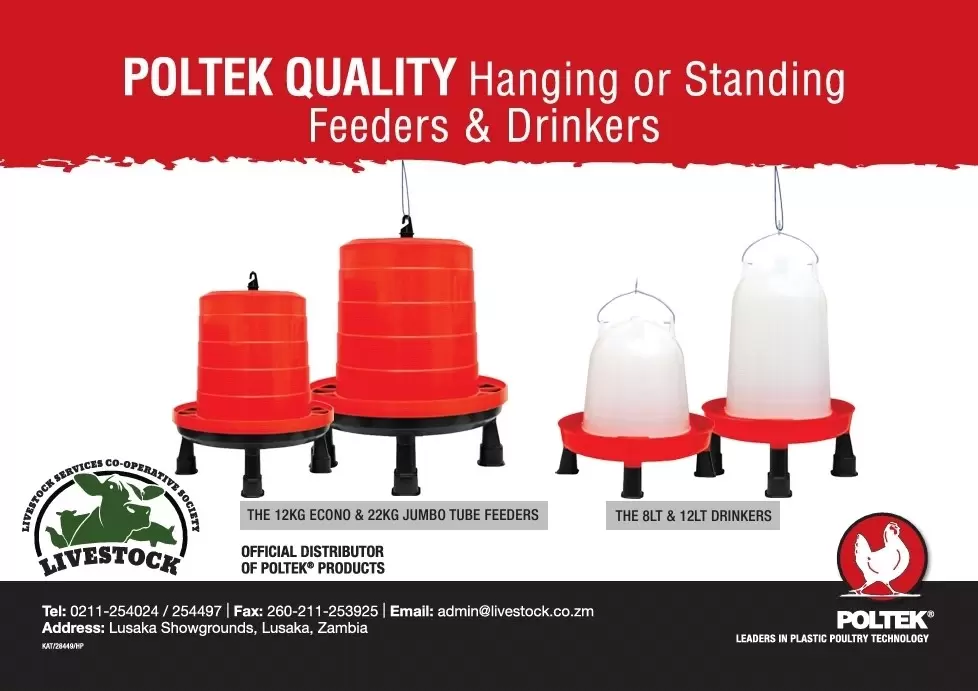 Poltek June