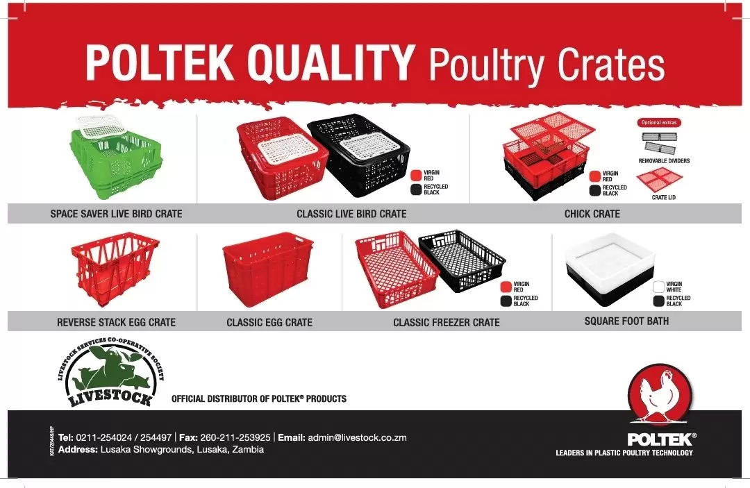 Poltek September